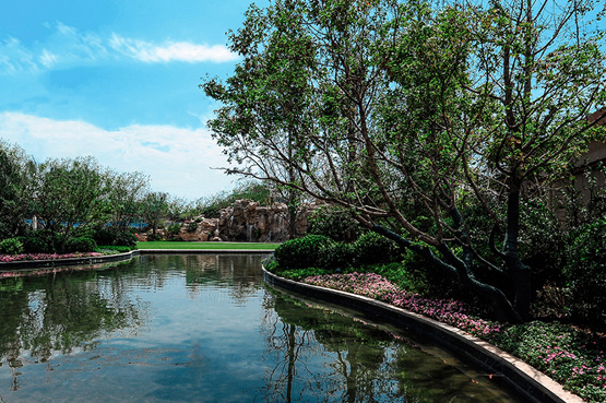 来利国际w66集团