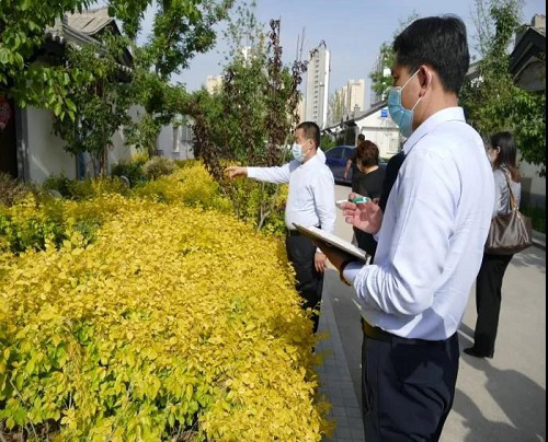 来利国际w66集团